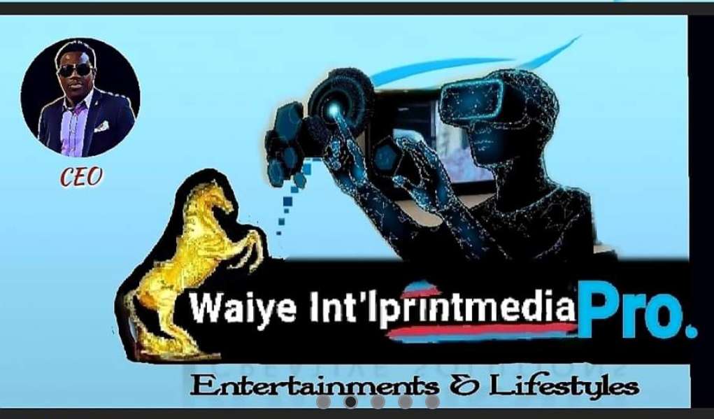 Waiye Int'lprintmediapro logo